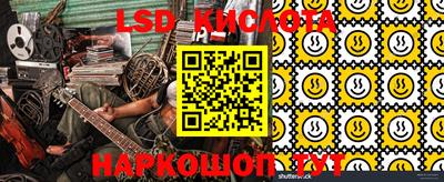 гашик Берёзовский