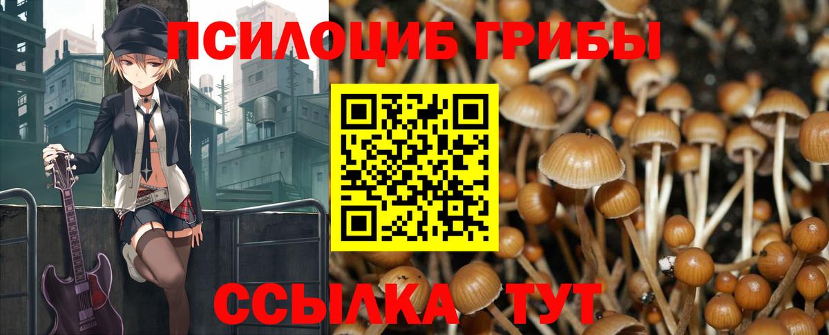 Галлюциногенные грибы мицелий Березники