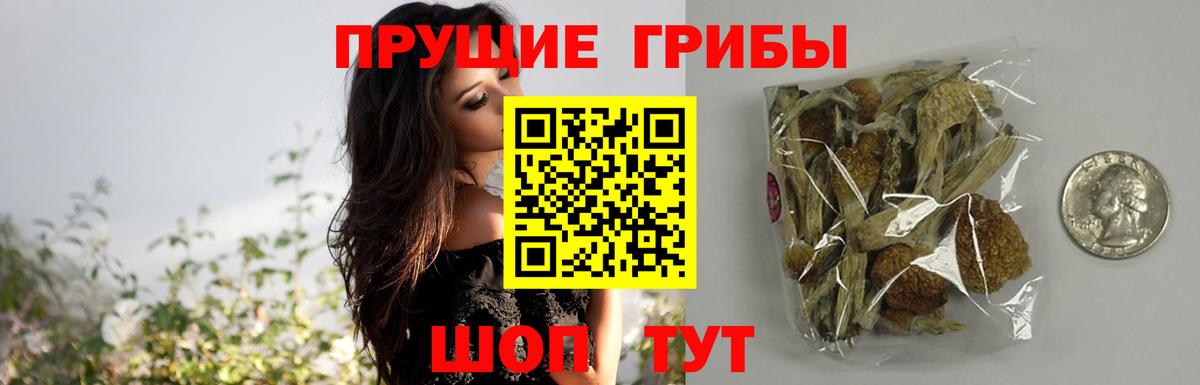 Березники  Галлюциногенные грибы Psilocybe  Вход с VPN  Псилоцибиновые грибы Psilocybine cubensis 